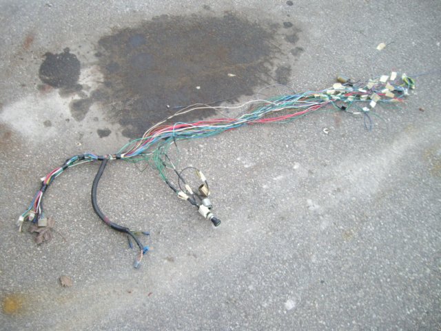 dashharness01.jpg