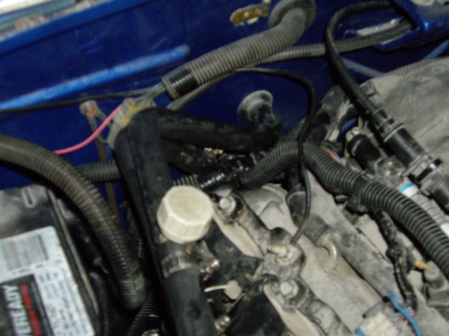 heaterhoses02.jpg