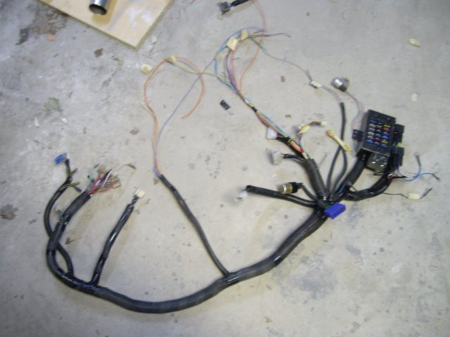 maindashharness02.jpg