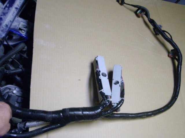 pcmconnector02.jpg